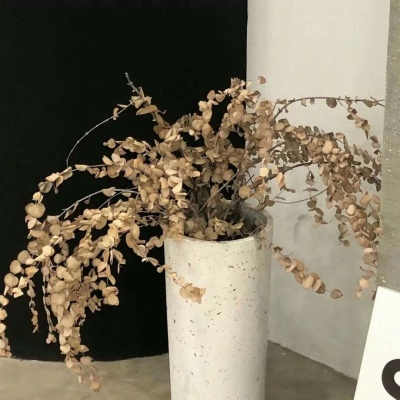 晋宁FurryQQ群介绍